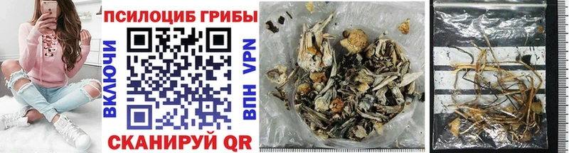 blacksprut как войти  Северская  Псилоцибиновые грибы прущие грибы 