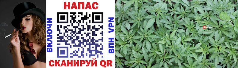 МАРИХУАНА White Widow  купить закладку  Северская 